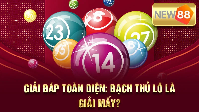 Giải Đáp Toàn Diện: Bạch Thủ Lô Là Giải Mấy?